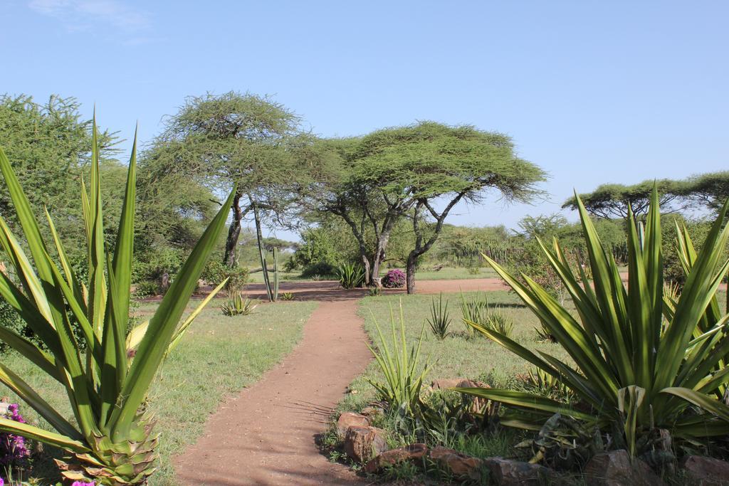 Mapito Tented Camp 세렝게티 외부 사진