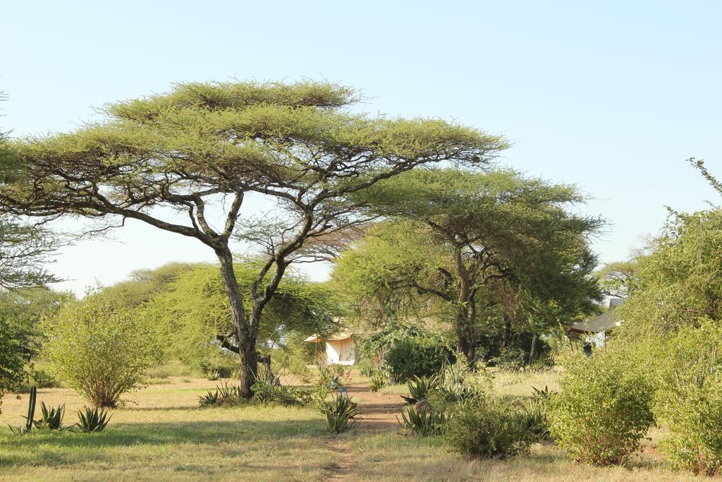 Mapito Tented Camp 세렝게티 외부 사진